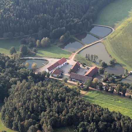 Ferienwohnungen Am Buechlhof Im Oberpfaelzer Seenland ノインブルク・フォルム・ヴァルト エクステリア 写真