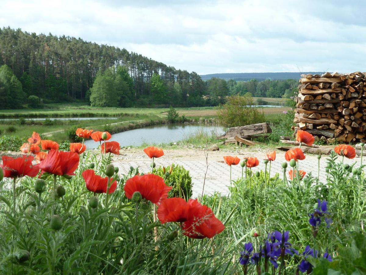 Ferienwohnungen Am Buechlhof Im Oberpfaelzer Seenland ノインブルク・フォルム・ヴァルト エクステリア 写真